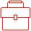Case